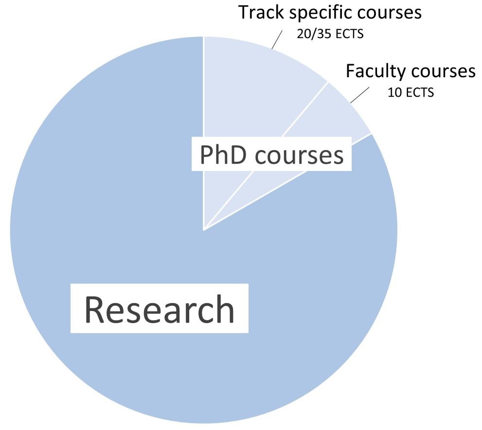 Pie chart showing the ECTS division between research and PhD courses,