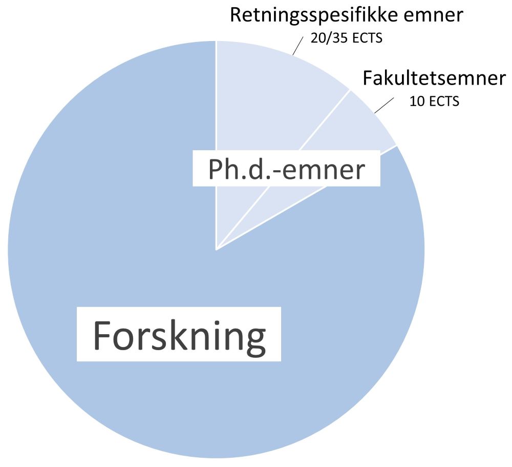 Kakediagram viser fordelingen mellom forskning og ph.d.-emner.