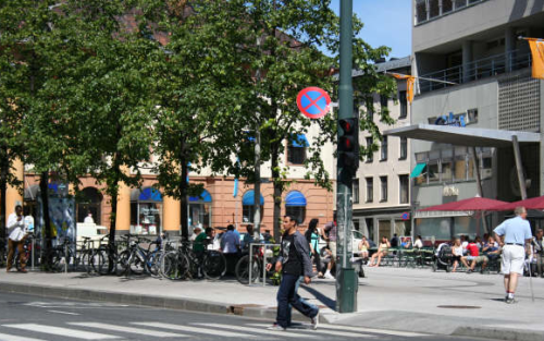 A man is crossing av pedestrian crossing in Oslo. A green tre and buildings in the background
