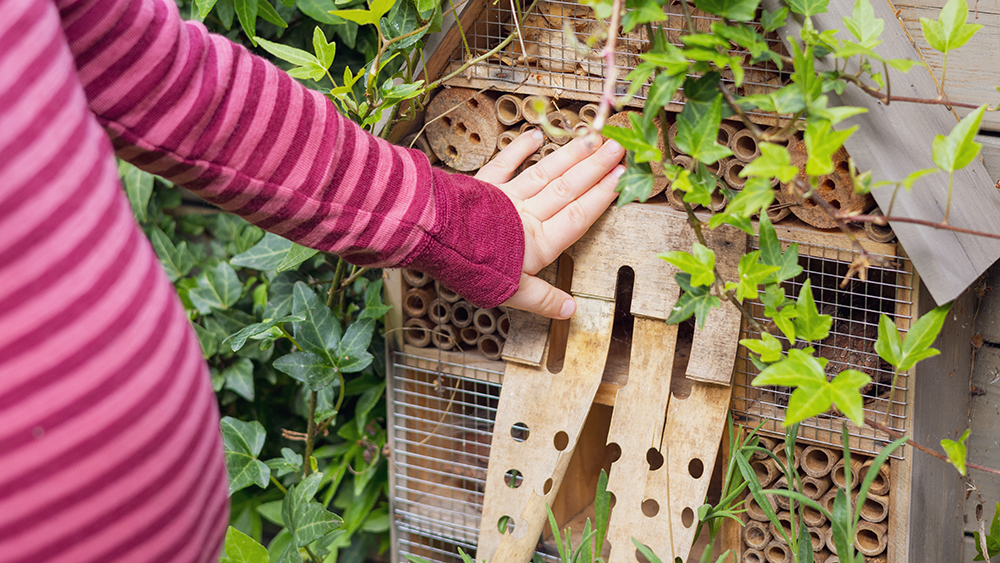 Girl touching an insect hotel