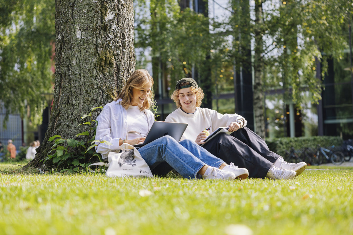 To studenter sitter under et tre og ser på en pc
