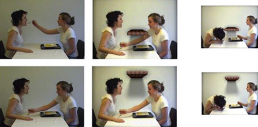 Seks bilder fra eksperimentet med mating i laben. Den øverste bilderekken (tre bilder) viser rasjonelle handlinger gitt fri vei til munn og en bordplate imellom. Bildene under viser irrasjonelle handlinger gitt fri vei til munn og samme bordplate, men ikke lenger i veien.