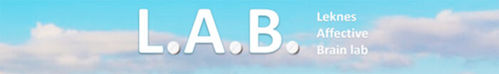 The research group's logo; the abbreviation LAB on a blue sky with clouds.