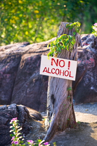 Sign on a tree saying "No alcohol"