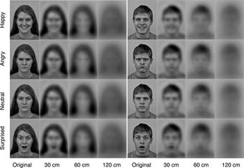 The complete set of simulated images used in the experiment, containing the facial expressions of feeling surprised (above), happy, angry and neutral (below). Video: Professor Bruno Laeng.