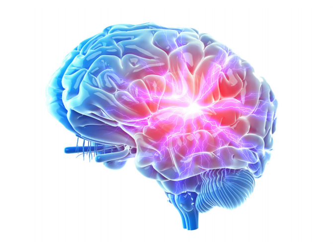 Image may contain: Brain, Brain, Organism, Organ, Electric blue.