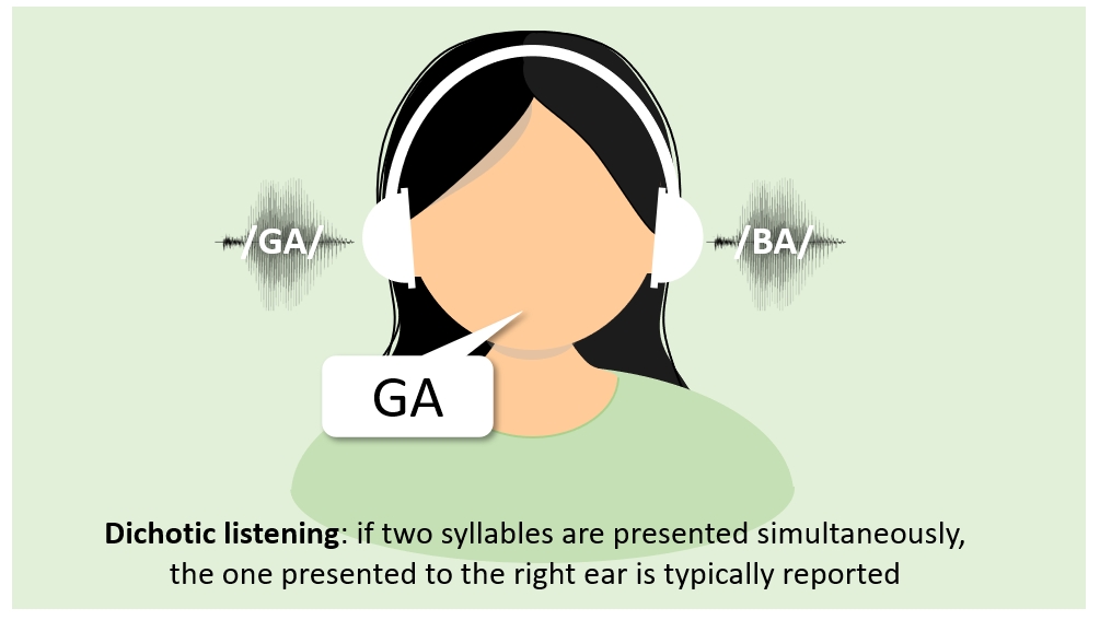 Cartoon illustrating the dichotic listening paradigm