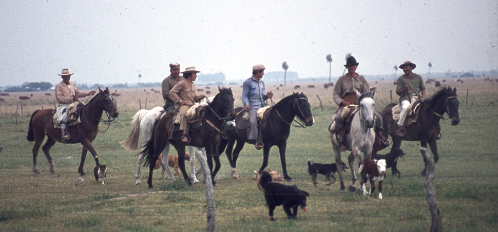 Hest var et naturlig fremkomstmiddel på de enorme godsene i Argentina på 1970-tallet. Alle foto: Marit Melhuus